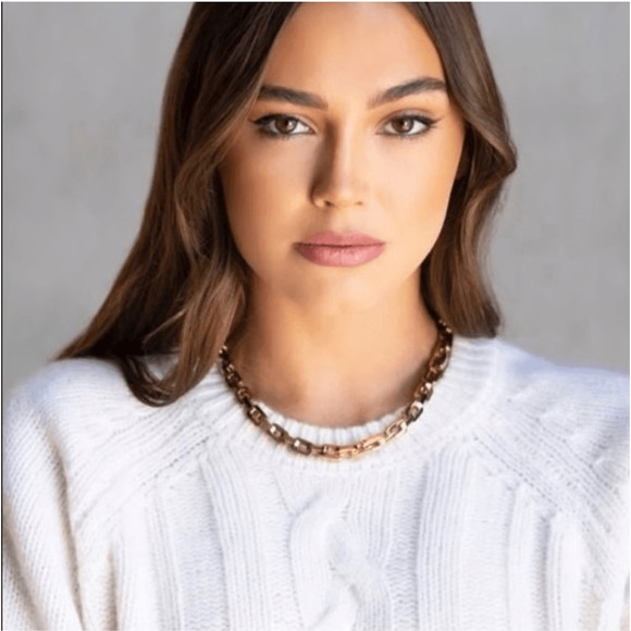 Eddie Borgo Supra Link Necklace 12K Gold Finish - Picture 4 of 4